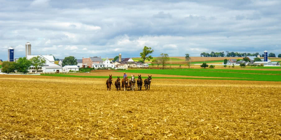 Amish culture in Pennsylvania